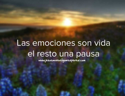 Las emociones son vida, el resto una pausa